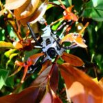 Emax Tinyhawk II 2 Freestyle RTF FPV Racing Drone Kit RunCam Nano2 37CH 25/100/200mW VTX 2S-FrSky Quadcopter With Goggle - Image 4